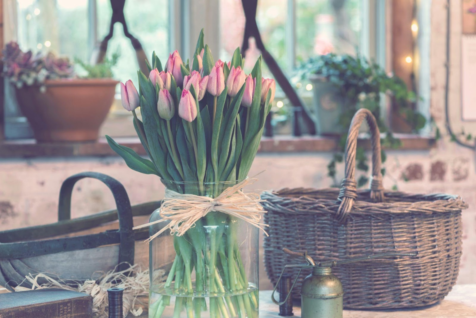 Bloom into Wellness, Embrace a Season of Fresh Starts at Home Fresh Starts